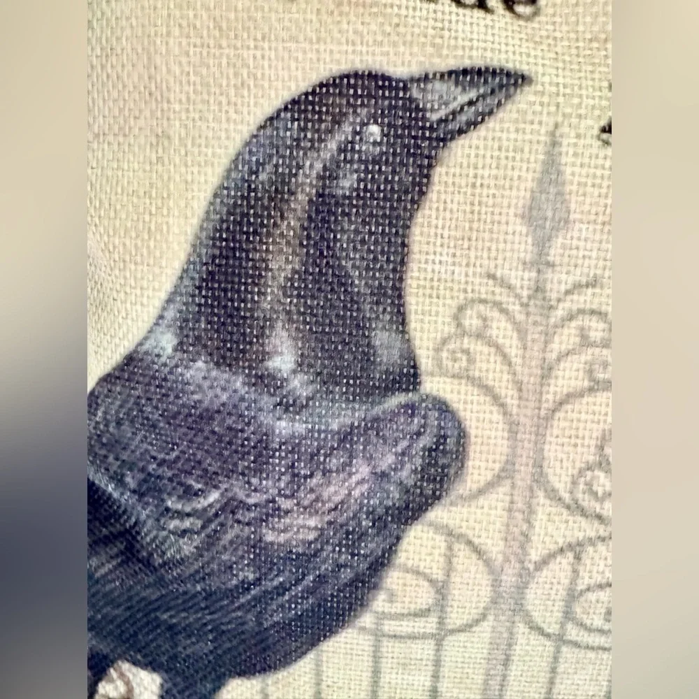 New Rustic Halloween Crow Raven Pumpkin Lantern Decorative Toss Pillow 17” x 17”